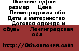 Осенние туфли, 30 размер  › Цена ­ 800 - Ленинградская обл. Дети и материнство » Детская одежда и обувь   . Ленинградская обл.